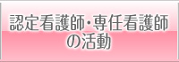 認定看護師・専任看護師の活動